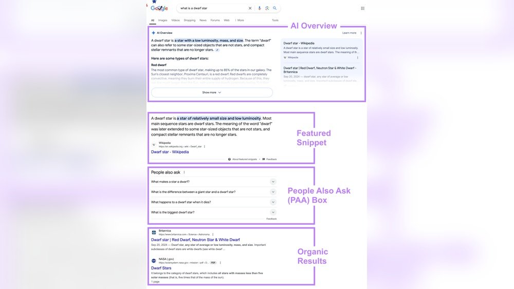 Serp Features